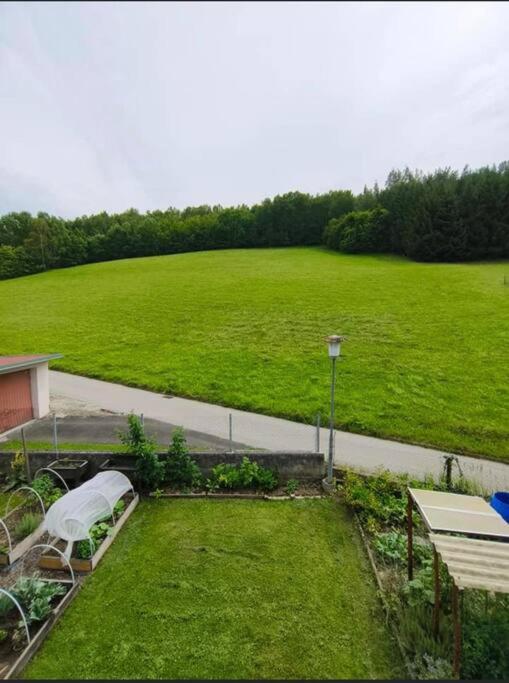 Niklasdorf Bergblick/Erholung Eksteriør billede